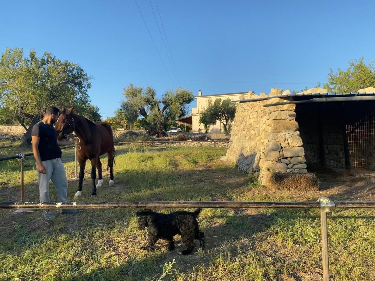 Masseria Usamborgia Νότο Εξωτερικό φωτογραφία