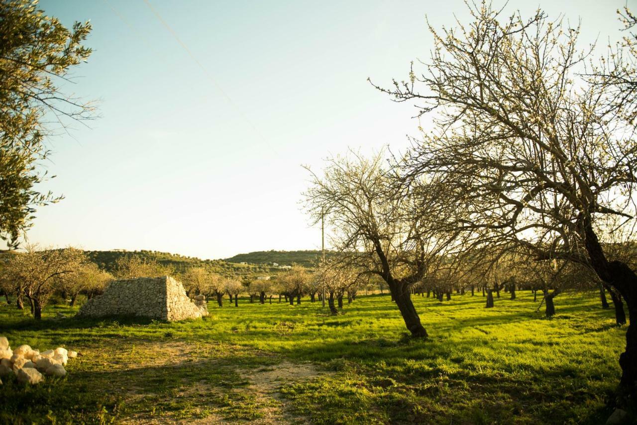 Masseria Usamborgia Νότο Εξωτερικό φωτογραφία